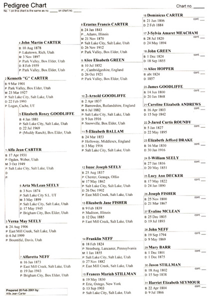 999-14 Alfa pedigree