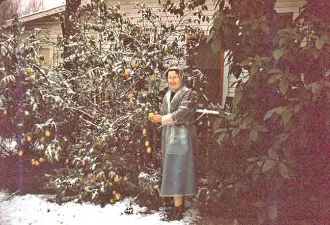 Mammy, lemons, snow