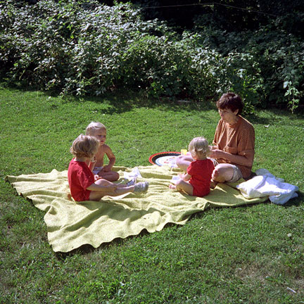 N001623Picnic