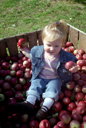 N002006BethanyApples