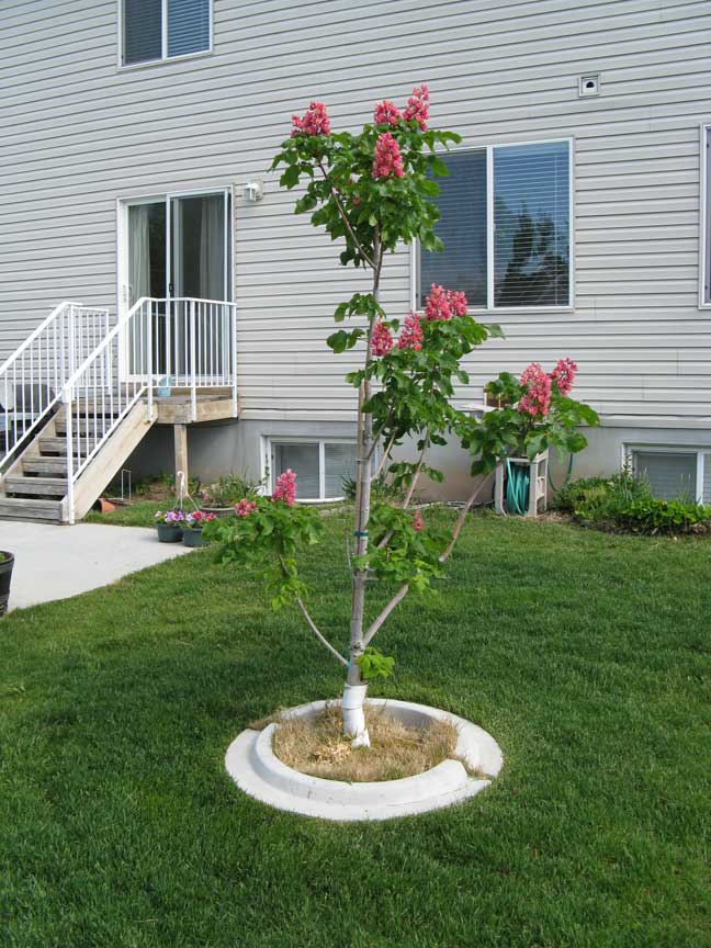 0011ChestnutBackPorchw